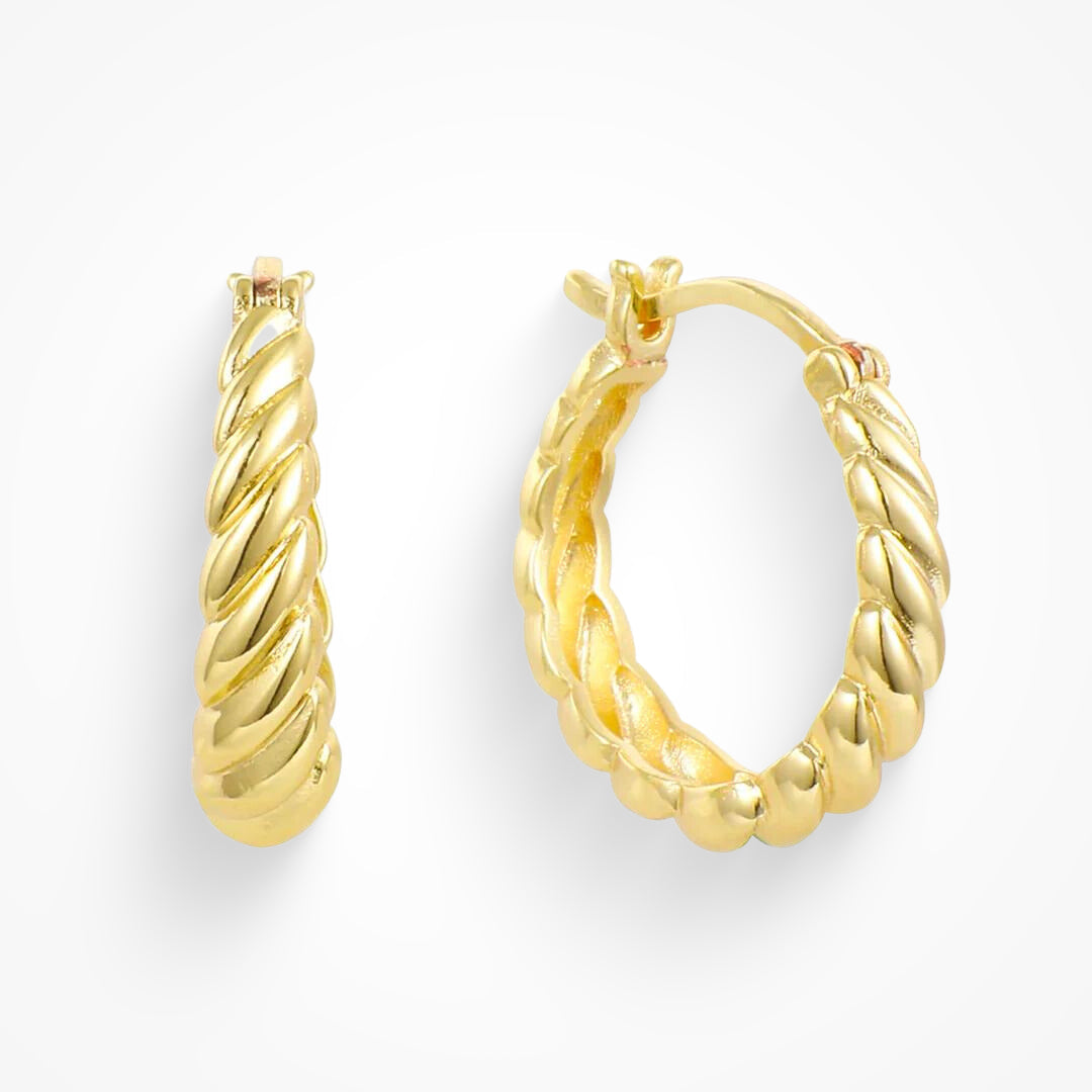 Twisted Hoop Earrings with a Twist Style